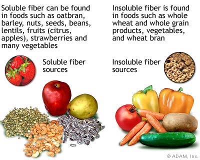 dietary-fiber-food.jpg